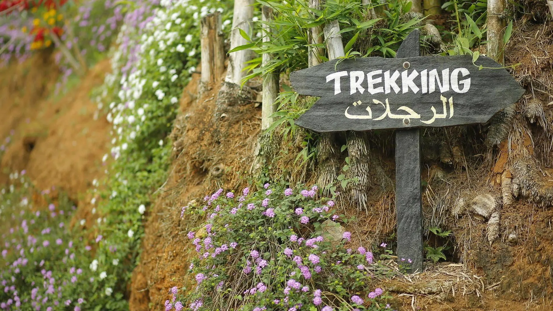 Rivulet Resort Munnar 4*,